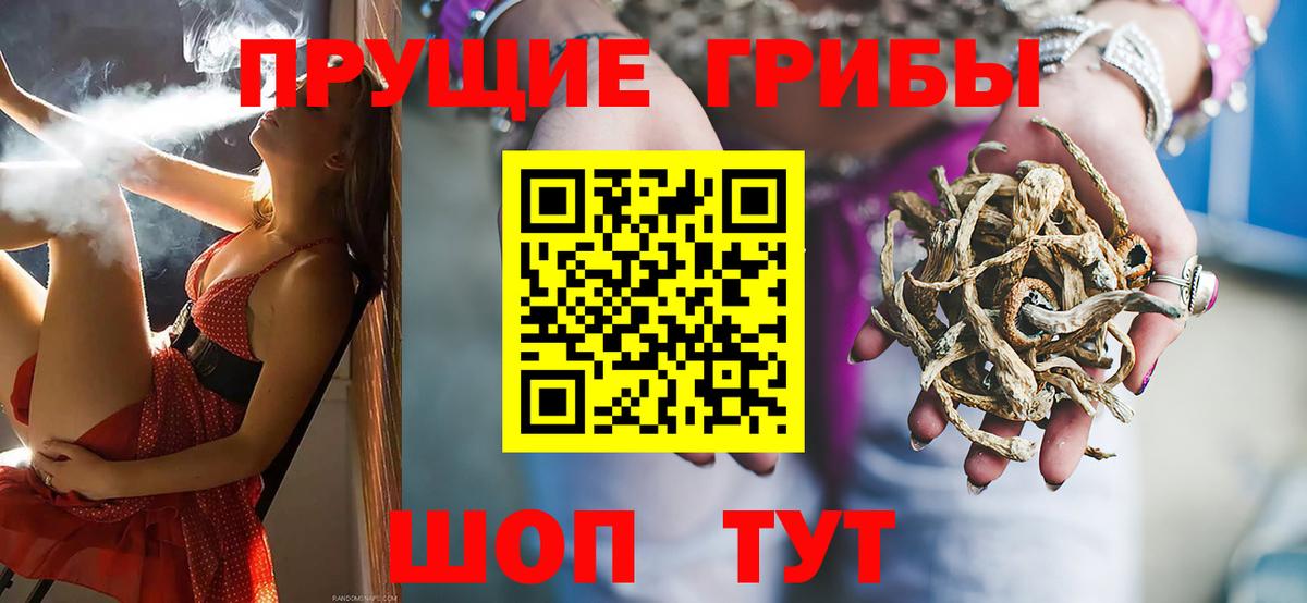 Галлюциногенные грибы MAGIC MUSHROOMS  Псилоцибиновые грибы Psilocybe  Киреевск  Вход с VPN 